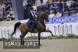 25R13_13857 thumbnail