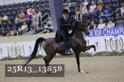 25R13_13858 thumbnail