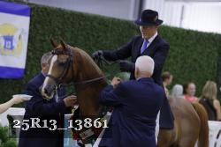 25R13_13861 thumbnail
