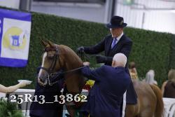 25R13_13862 thumbnail