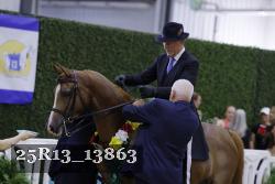 25R13_13863 thumbnail