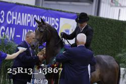25R13_13867 thumbnail