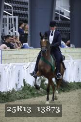 25R13_13873 thumbnail