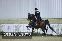 25R13_13878 thumbnail