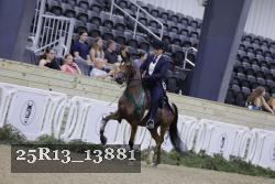 25R13_13881 thumbnail
