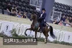 25R13_13882 thumbnail