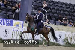25R13_13883 thumbnail