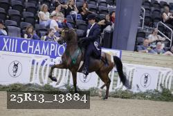 25R13_13884 thumbnail