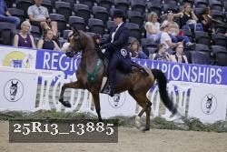 25R13_13885 thumbnail