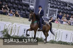 25R13_13886 thumbnail