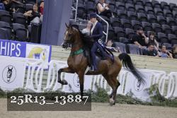 25R13_13887 thumbnail
