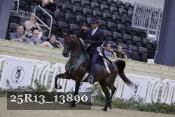 25R13_13890 thumbnail