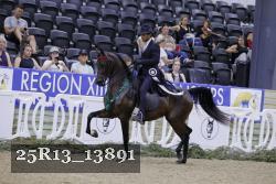 25R13_13891 thumbnail