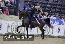 25R13_13892 thumbnail