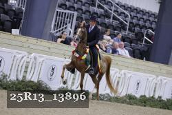 25R13_13896 thumbnail