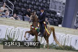 25R13_13897 thumbnail