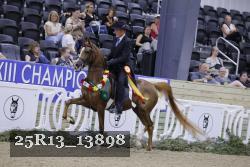 25R13_13898 thumbnail