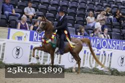 25R13_13899 thumbnail
