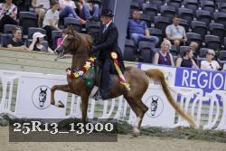 25R13_13900 thumbnail