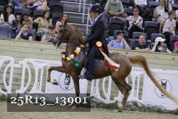25R13_13901 thumbnail