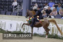 25R13_13902 thumbnail