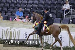 25R13_13903 thumbnail