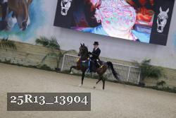 25R13_13904 thumbnail