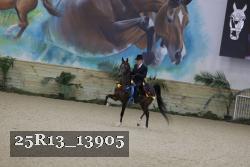 25R13_13905 thumbnail