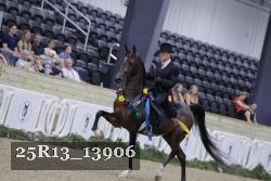 25R13_13906 thumbnail