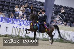 25R13_13908 thumbnail