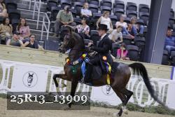 25R13_13909 thumbnail