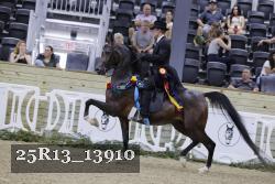 25R13_13910 thumbnail