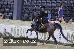 25R13_13912 thumbnail