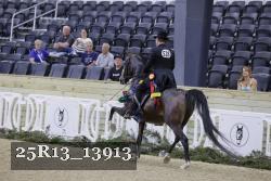 25R13_13913 thumbnail
