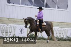 25R13_14014 thumbnail