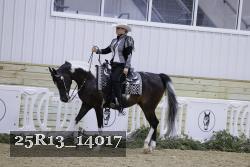 25R13_14017 thumbnail