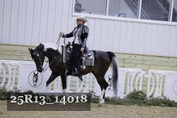 25R13_14018 thumbnail