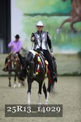 25R13_14029 thumbnail