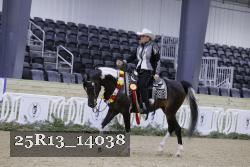 25R13_14038 thumbnail