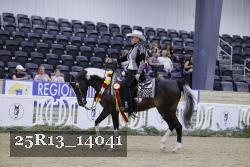 25R13_14041 thumbnail