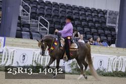 25R13_14042 thumbnail