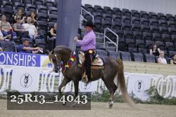 25R13_14043 thumbnail