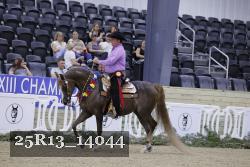 25R13_14044 thumbnail