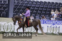 25R13_14046 thumbnail