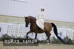 25R13_14048 thumbnail