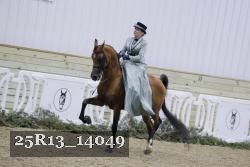 25R13_14049 thumbnail