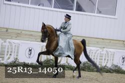 25R13_14050 thumbnail