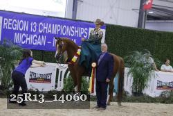 25R13_14060 thumbnail