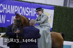 25R13_14064 thumbnail