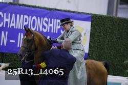 25R13_14065 thumbnail